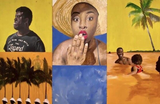 Bahamian artist jodi minnis