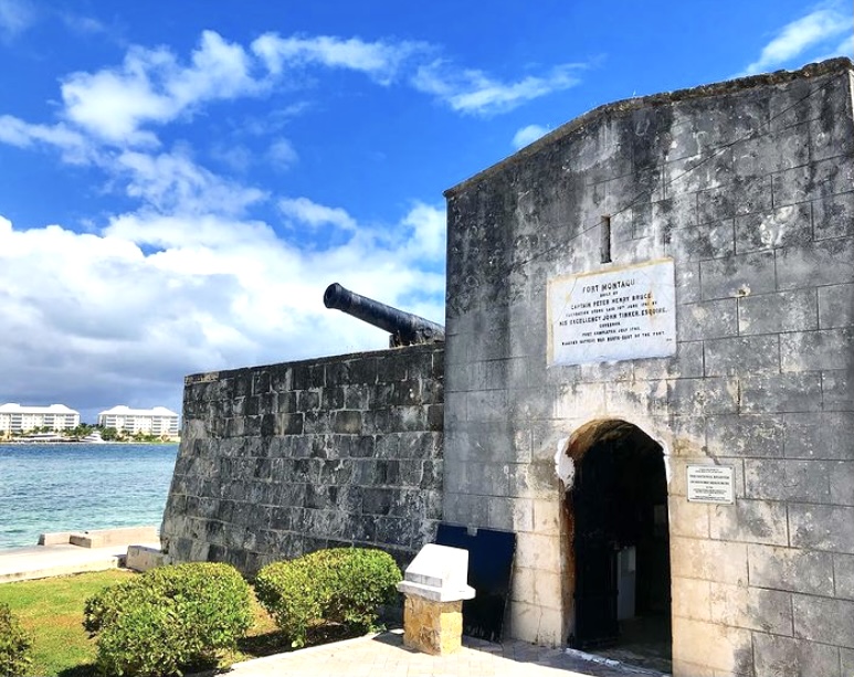 fort montague